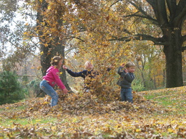 2006 11-Mom and Dads House Kids in Leaves
